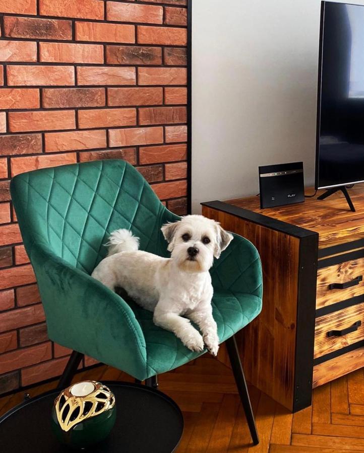 شقة بييلسكو بياوا  في Apartament Loft المظهر الخارجي الصورة